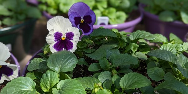 Kick-off to Spring Open House (Apr 7th-9th)