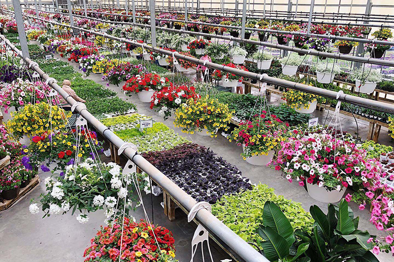 Canoyer Garden Center - Lincoln, Nebraska