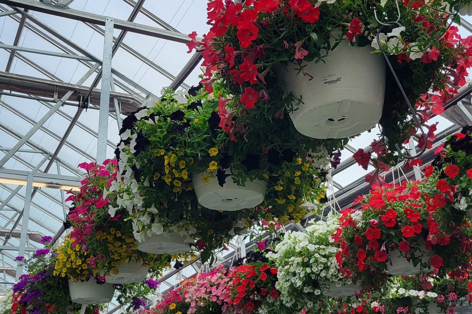 Canoyer Garden Center